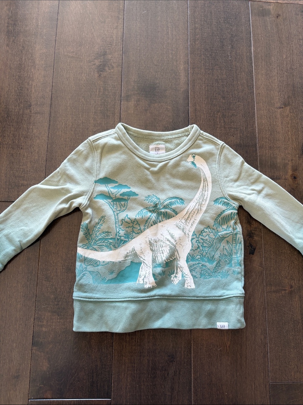 GAP Kids Light Sage Green Sweatshirt with White Dinosaur Graphic